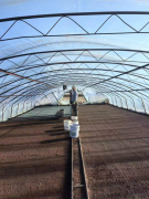 不负春光！走进黑龙江五常市龙凤山镇，万亩稻场“五常大米”春耕匠心育苗！