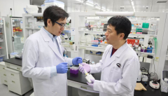 金益互联：日日精进，终成卓越